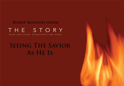 Seeing the Savior As He Is